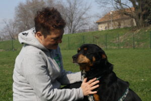 rieducazione cani adottati